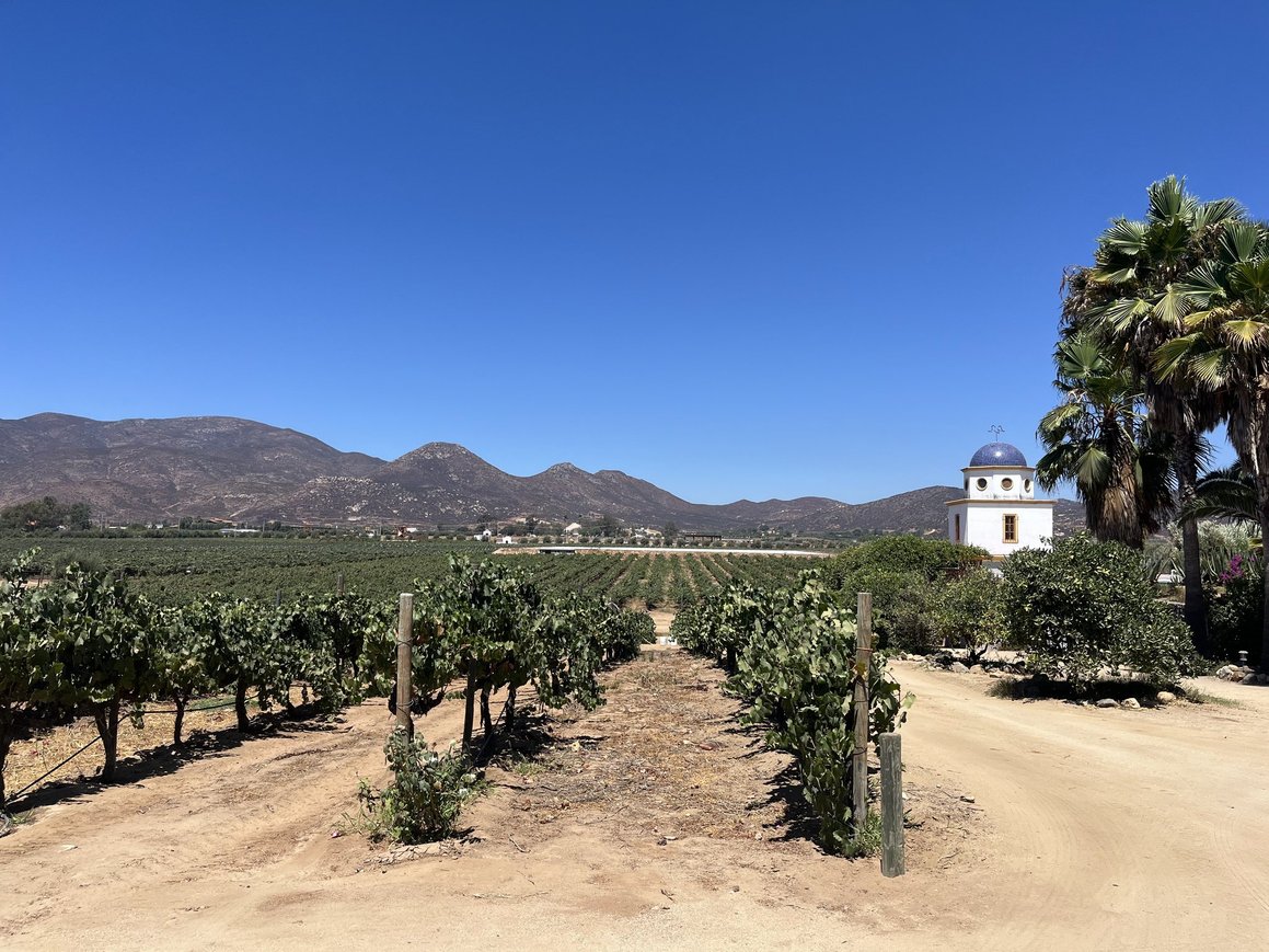 The wine region nobody saw coming